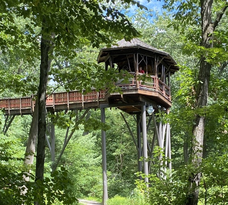 Dave Wenzel Tree House at Nay Aug Park (Scranton,&nbspPA)